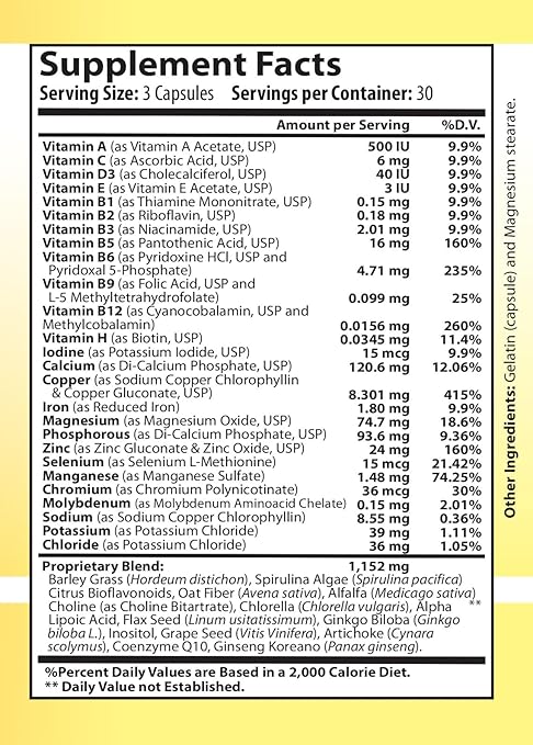 Multivitamin and Multimineral Vitamin Complex - 12 Vitamins and 14 Minerals, Vitamin A C D3 E B1 B2 B3 B5 B6 B9 B12 H and Minerals - 90 Capsules 41 Active Ingredients, Micronized for a - Image 5